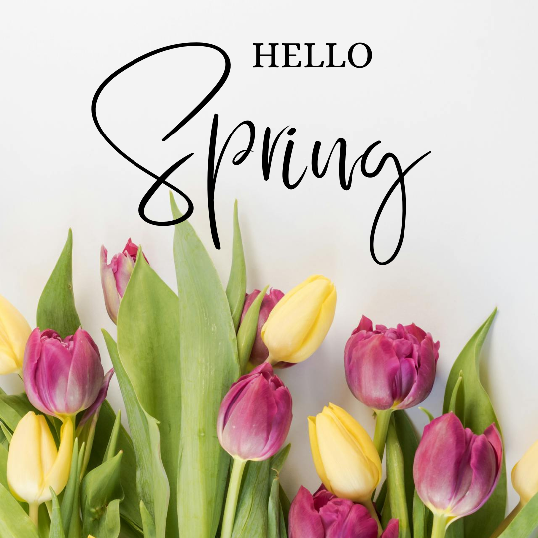 Spring Collection