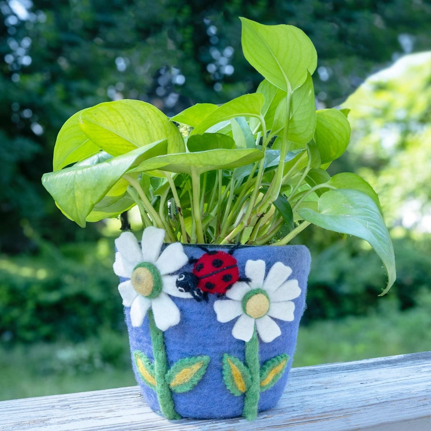 Hand-Felted Plant Pots