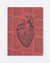 Anatomical Heart Softcover Lined Notebook