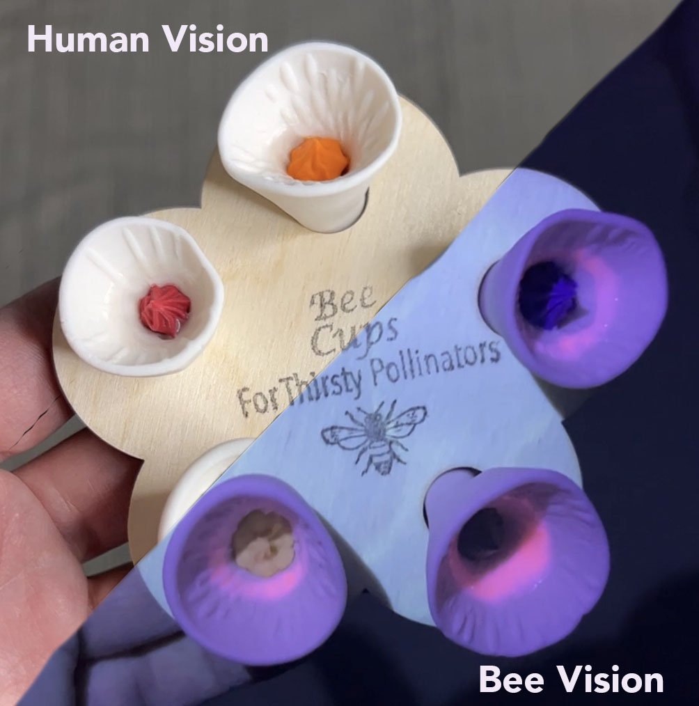 Bee Vision Bee Cups for Thirsty Pollinators
