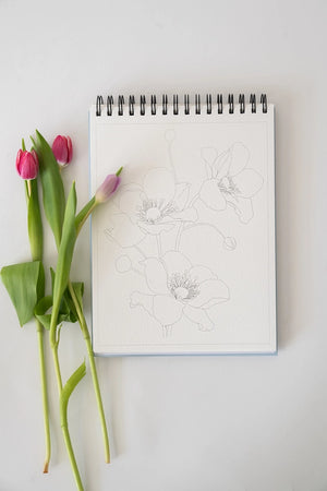Floral Watercolor Workbook