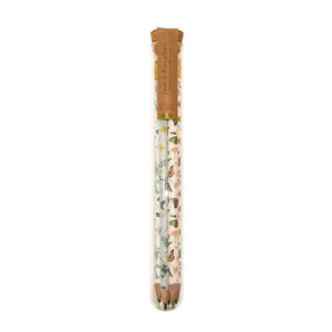 Terrarium Pencils Set