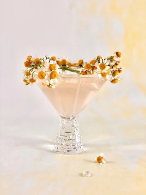 In-Person Galentine Celebration, Cocktails, Chocolates &  Essential Oil Stress & Relaxation Blend February 12th 2026