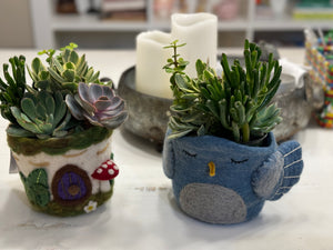 Hand-Felted Plant Pots