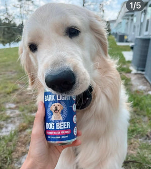 FREE Event- Goldens in Golden "Yappy Hour" and Dog Valentines Photo Booth February 7th