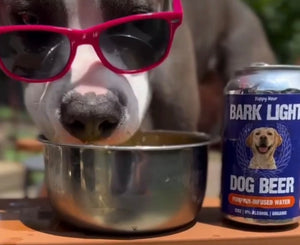 FREE Event- Goldens in Golden "Yappy Hour" and Dog Valentines Photo Booth February 7th