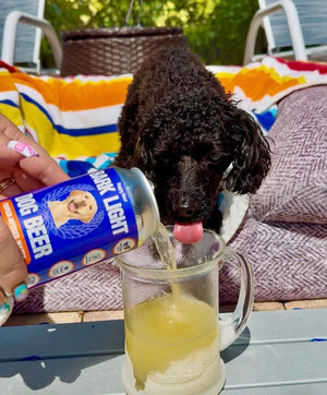 FREE Event- Goldens in Golden "Yappy Hour" and Dog Valentines Photo Booth February 7th