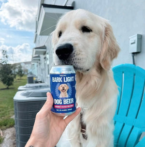 FREE Event- Goldens in Golden "Yappy Hour" and Dog Valentines Photo Booth February 7th