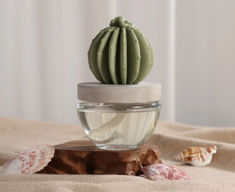 Barrel Cactus Rope Diffuser Set