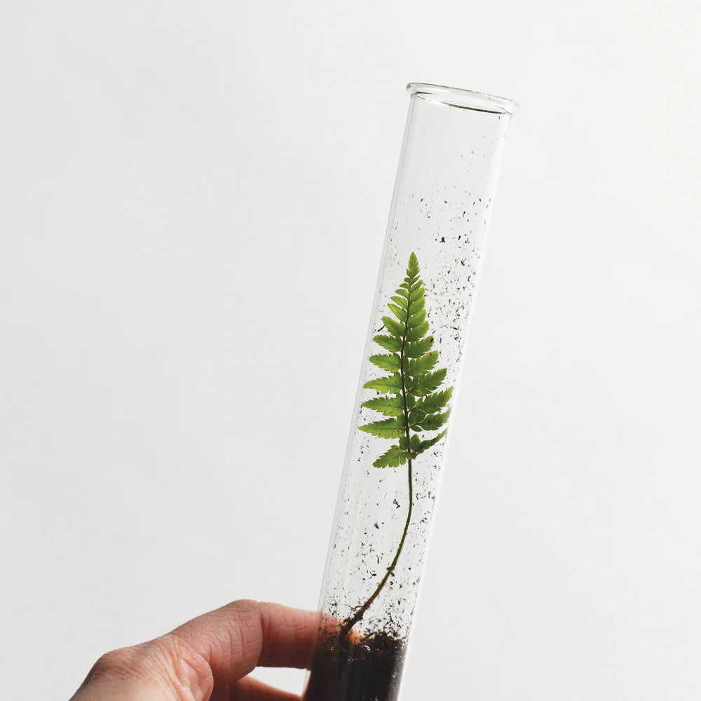 Terrarium Pencils Set