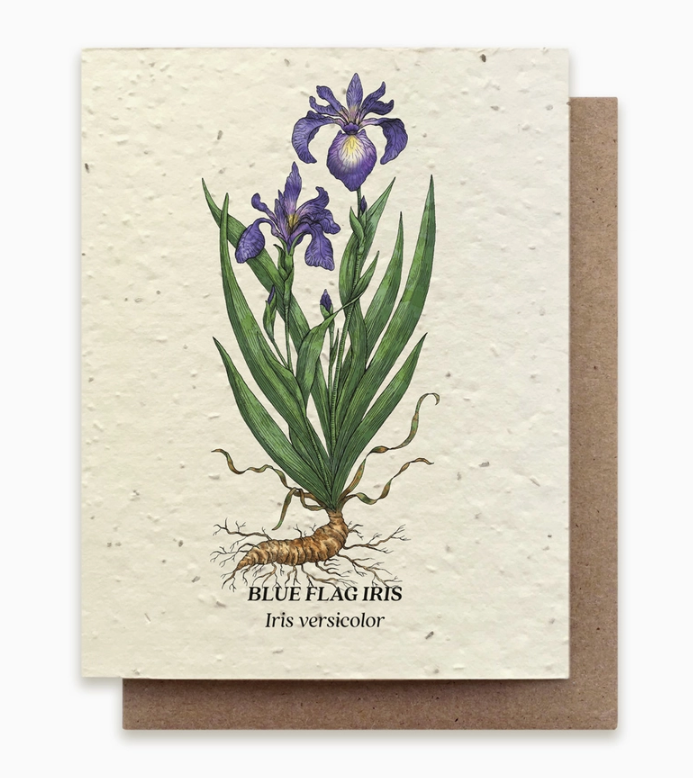 Plantable Seed Cards - Small Victories Studio