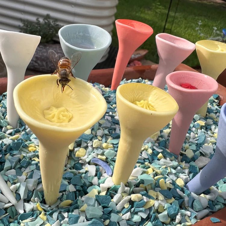 Bee Vision Bee Cups for Thirsty Pollinators
