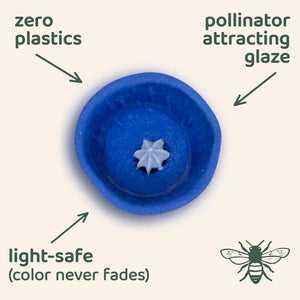 Bee Vision Bee Cups for Thirsty Pollinators