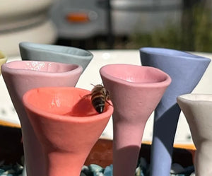 Bee Vision Bee Cups for Thirsty Pollinators