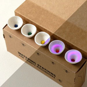 Bee Vision Bee Cups for Thirsty Pollinators