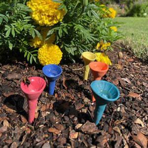 Bee Vision Bee Cups for Thirsty Pollinators