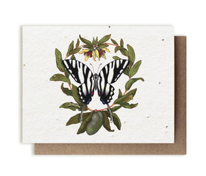 Plantable Seed Cards - Small Victories Studio
