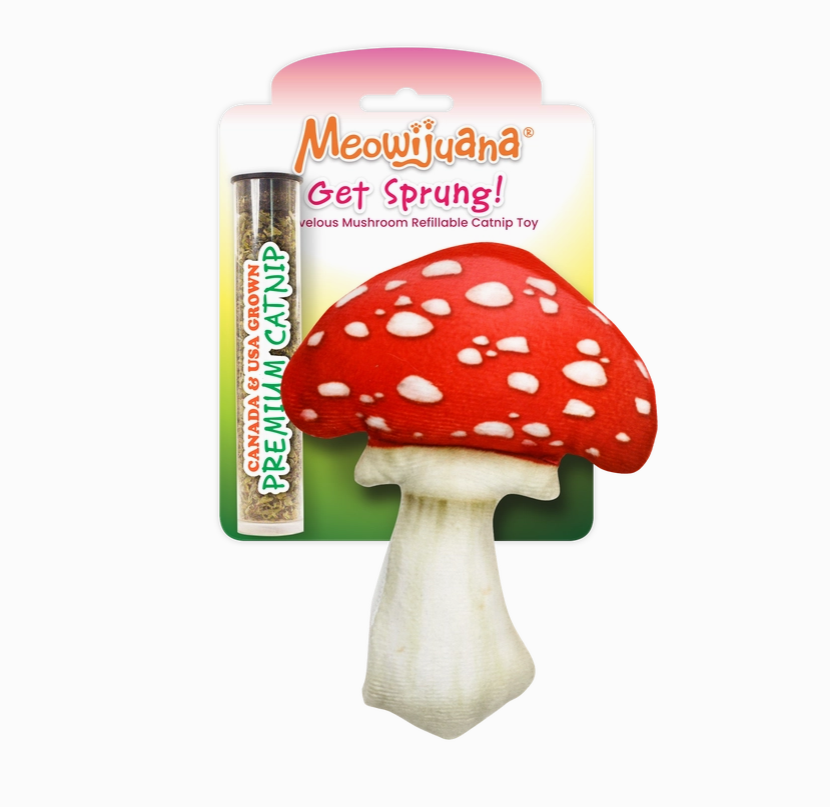 Refillable Mushroom Catnip Toy