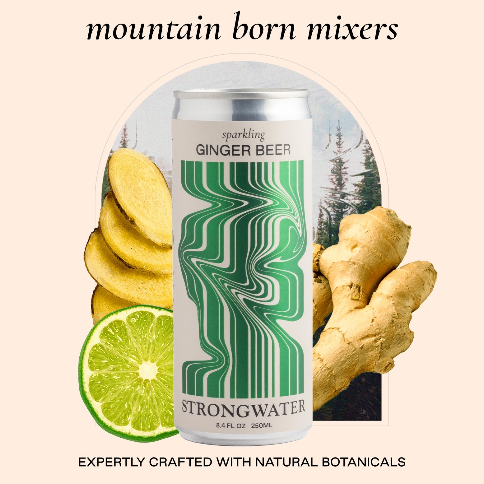 NA Sparkling Ginger Beer-Canned 4-Pack