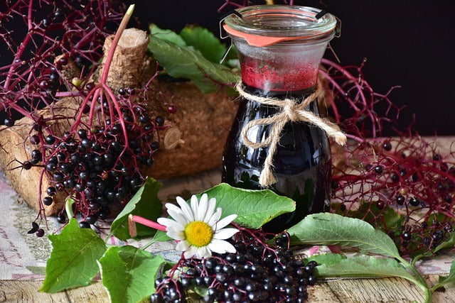 In-person Class: Elderberry Syrup, Chocolates, Vinegar & more, for Immunity