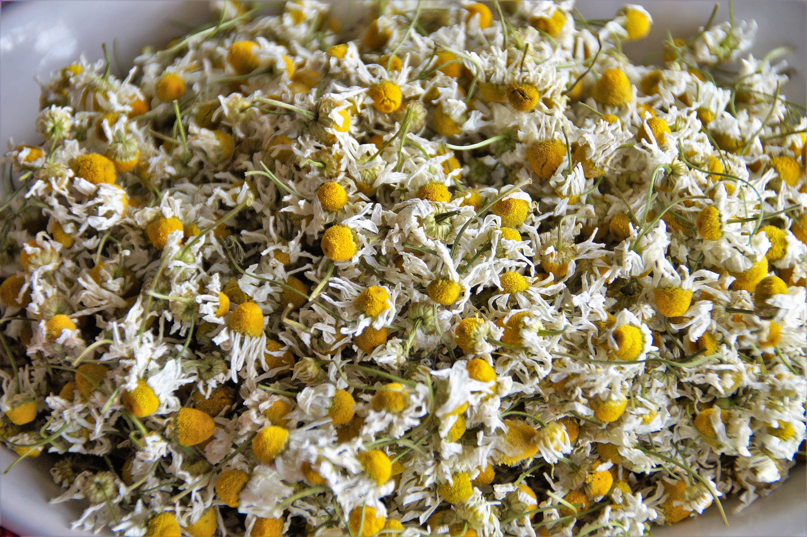Organic Chamomile Flowers
