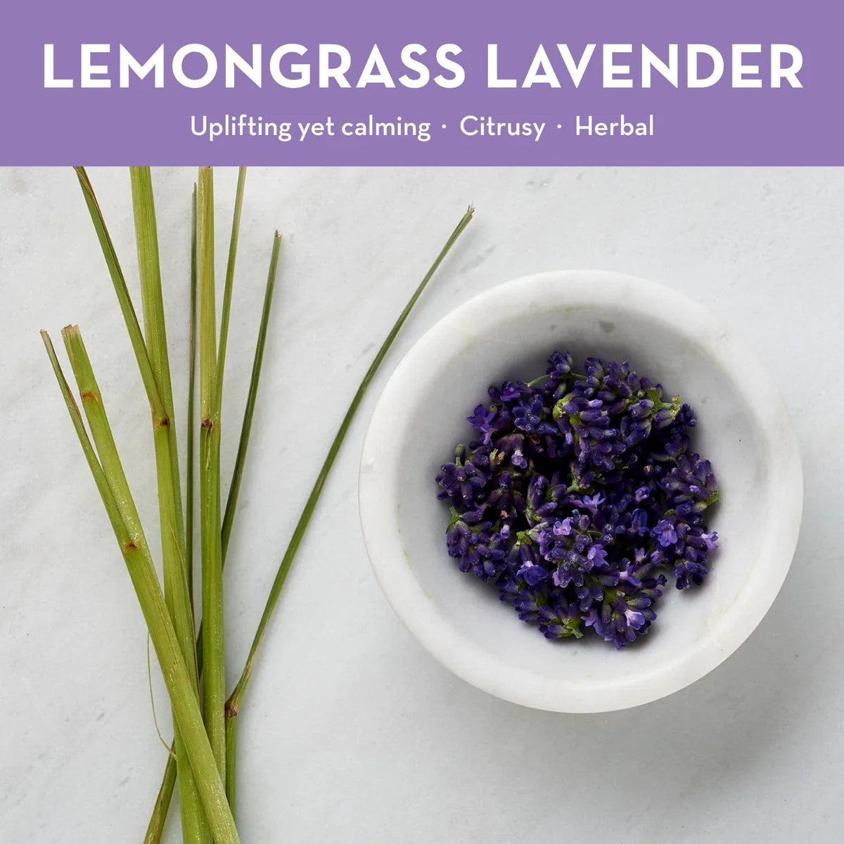 Lavender Lemongrass Body Lotion