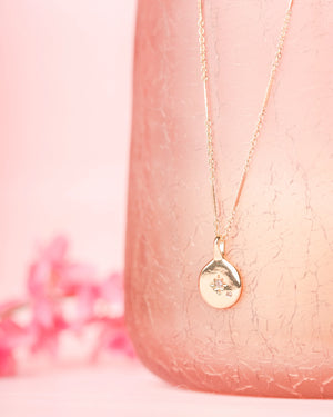 North Star Gold Coin Necklace