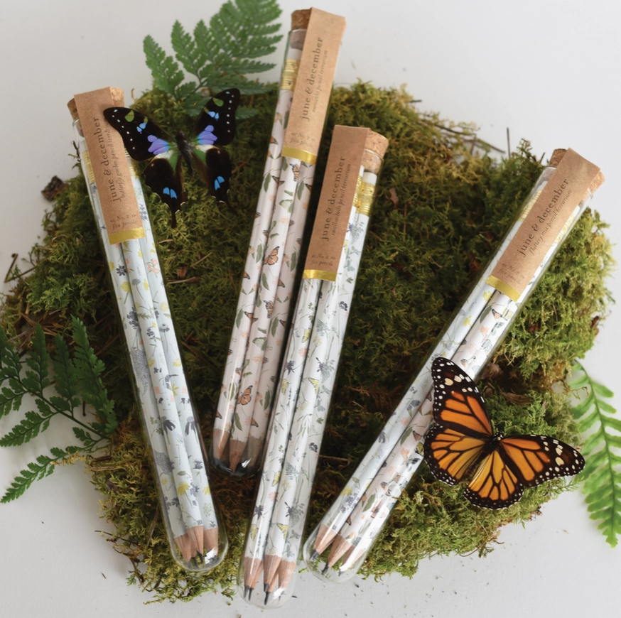 Terrarium Pencils Set