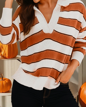 Brown Stripe Polo Sweater