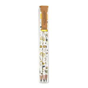 Terrarium Pencils Set