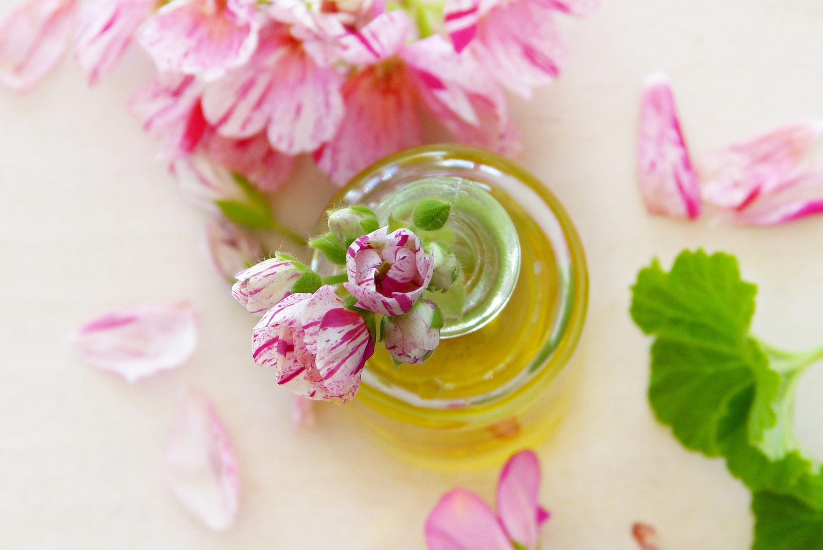 In-Person Make & Take Class: Facial Serums, Spray Mists & internal Tea for After Sun Care-July 30th