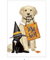 Trick Or Treat Pets Flour Sack Towel