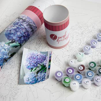 Paint By Numbers Kit