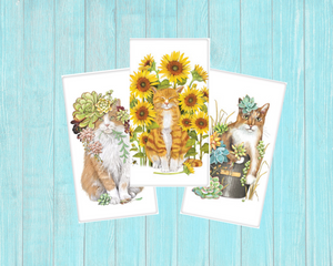 Cats of Summer Flour Sack Kitchen Towels