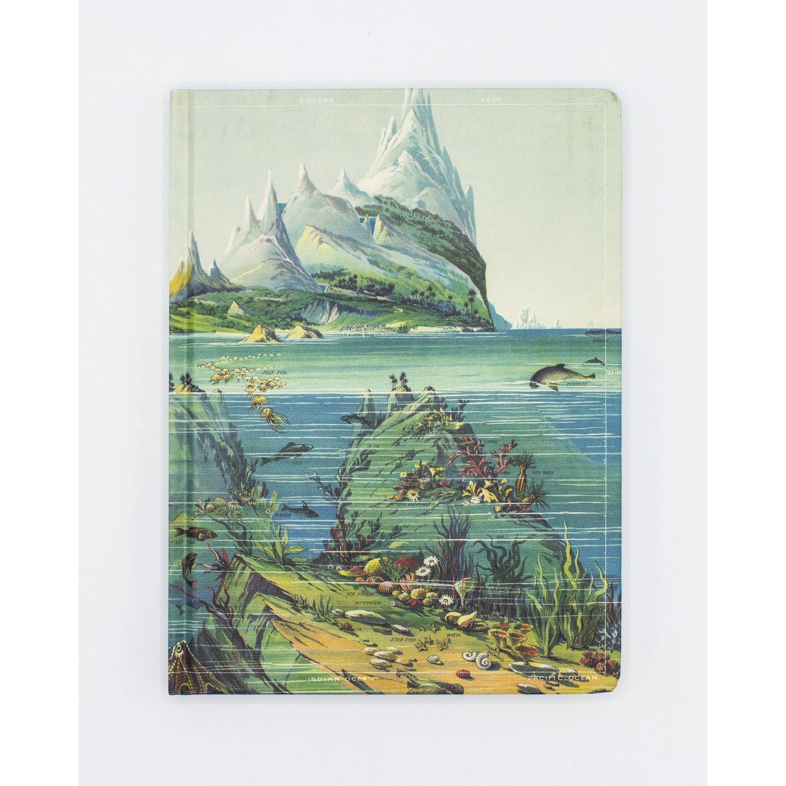 Descending Regions Hardcover Notebook