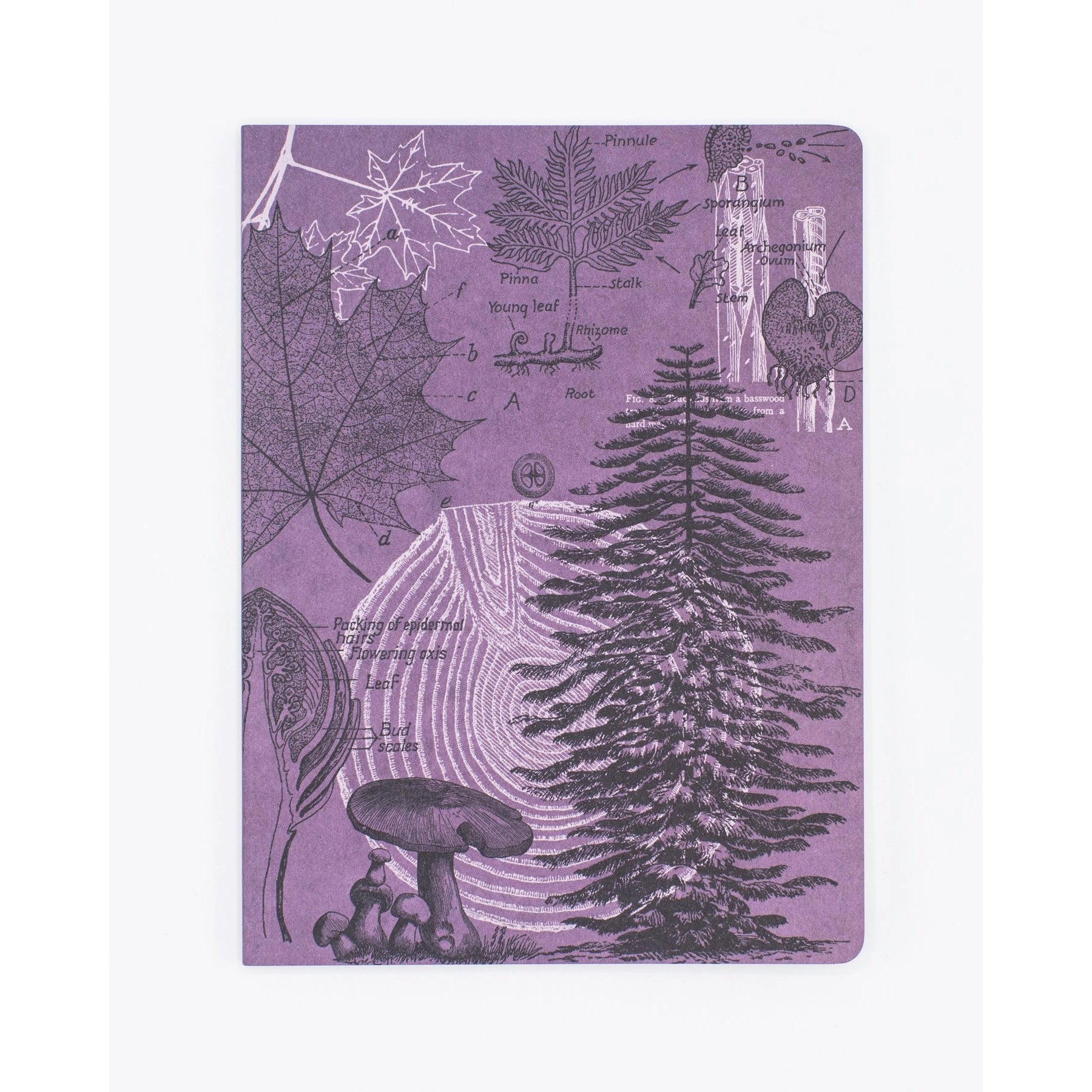 Forest at Dusk Softcover Lined Notebook