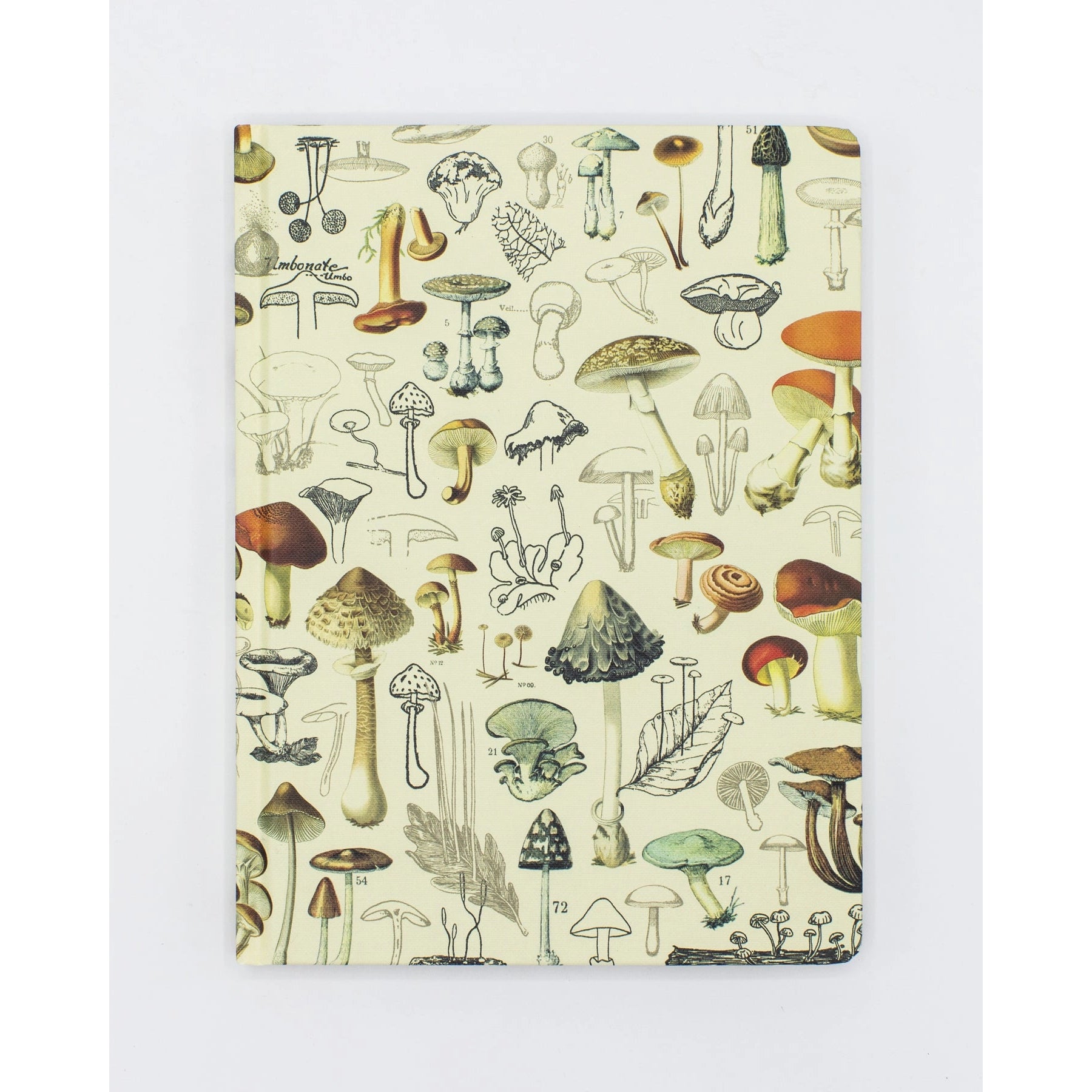 Woodland Mushrooms Hardcover Blank Notebook