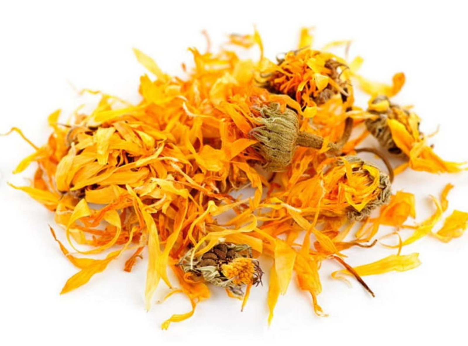 Herb Calendula Flowers