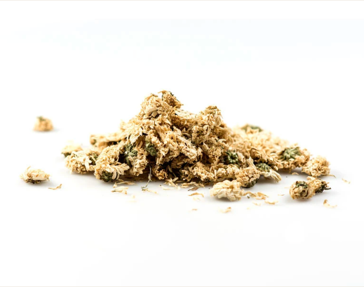 Herb Chrysanthemum Flowers