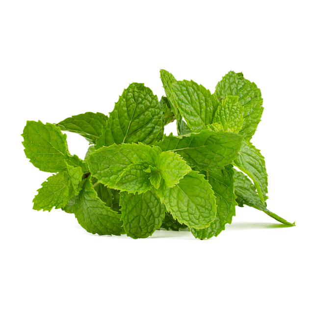 Peppermint Essential Oil
