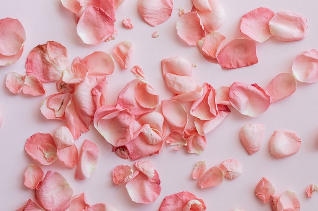 Herb Pink Rose Petals