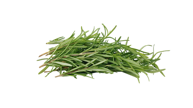 Rosemary (Rosemarinus officinalis ct Cineole) 100% pure Rosemary Essential Oil.  15ml