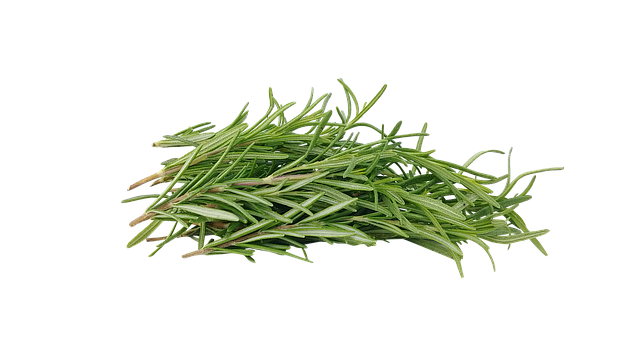Rosemary (Rosemarinus officinalis ct Verbenone) 100% pure Rosemary Essential Oil.  15ml